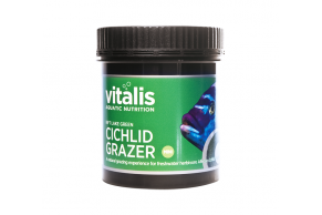 Vitalis Rift Lake Green Cichlid Grazer