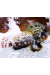 Synchiropus Ocellatus