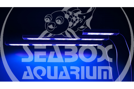 aquaBAR HighColor+