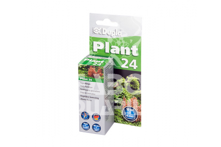 Dupla Plant 24