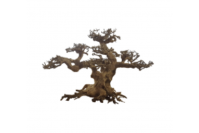 ADA Bonsai Wood M