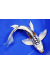 Carpe KOI BUTTERFLY