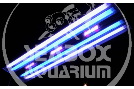 ATI Hybrid Powermodule (T5+LED) ATI Hybrid Powermodule (T5+LED)