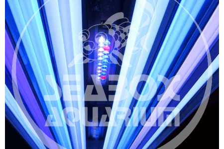 ATI Hybrid Powermodule (T5+LED) ATI Hybrid Powermodule (T5+LED)