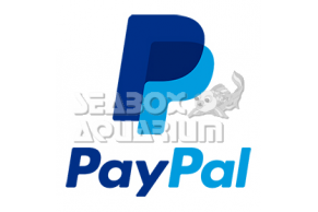 Spese Paypal