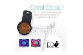 D-D Coral Color Lens V2