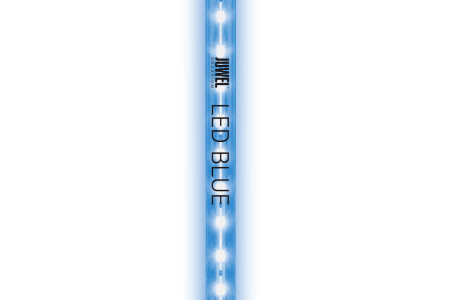 Juwel LED BLUE