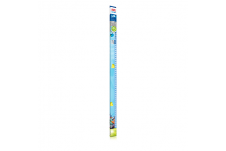 1200 mm / 31 Watt