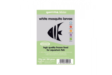 TMC White Mosquito Larvae
