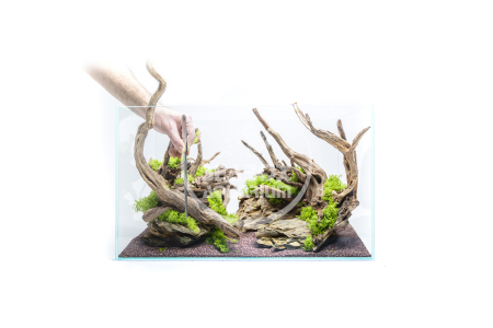 Zen Tools Kit Aquascaping