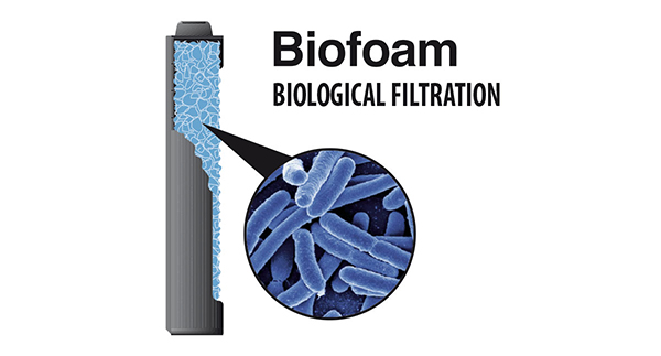 BIOFOAM.jpg