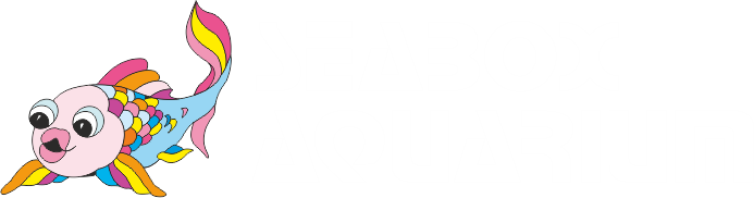 Seabox Aquarium & Pets Srl