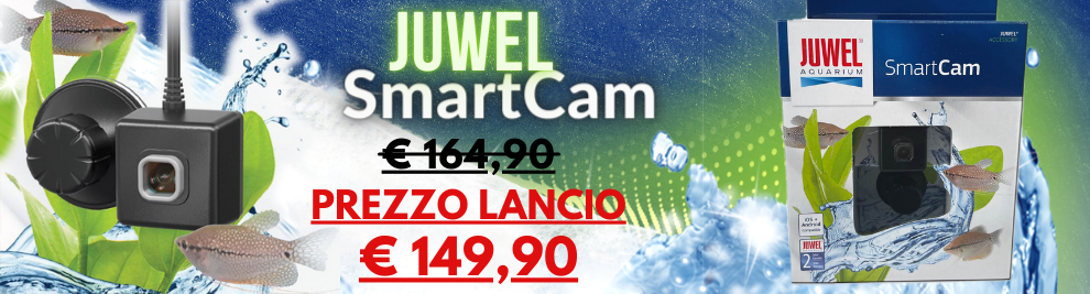 NOVITA' !! Juwel SMARTCAM prezzo lancio !