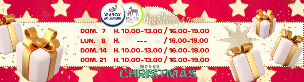 APERTURE DOMENICA DICEMBRE & FESTIVI: DOMENICA 7-14-21 DICEMBRE H. 10.00 - 13.00 - 16.00 - 19.00 - LUNEDI' 8 DICEMBRE H. 16.00 - 19.00